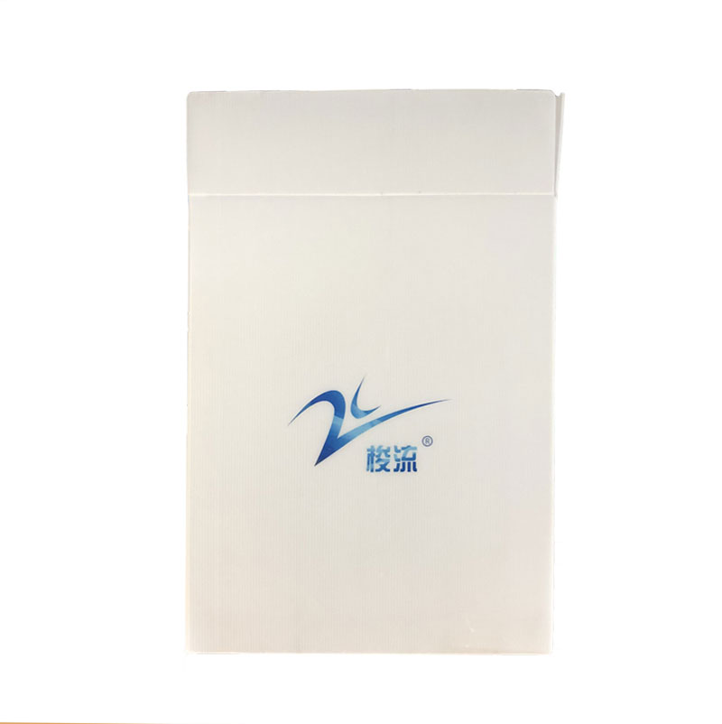 白2.jpg 白2.jpg