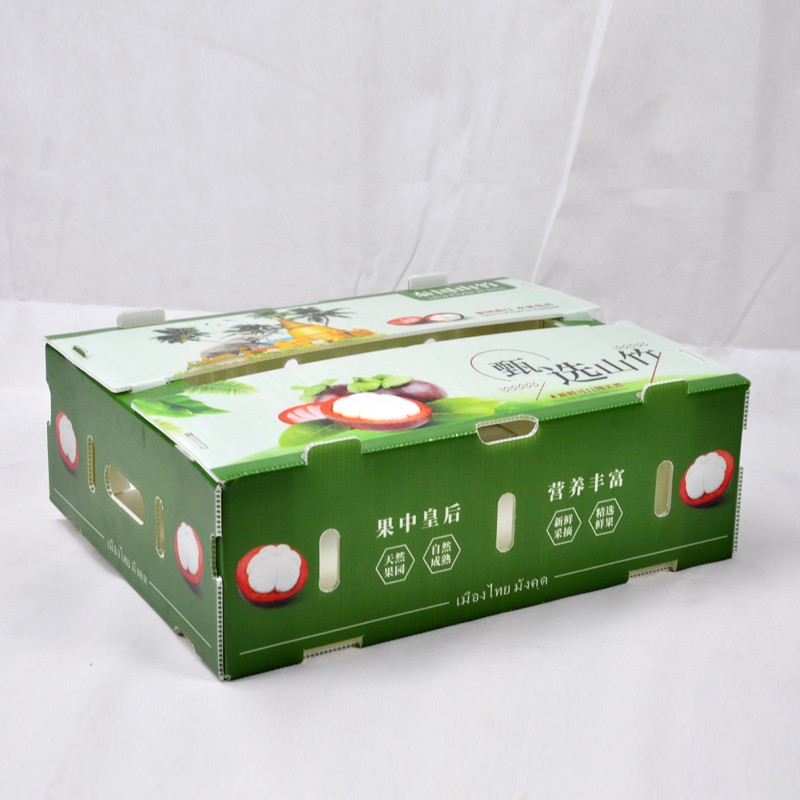 山竹1.jpg